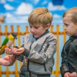 Pleasurewood Hills - Parrot Show - Richard Jarmy Photography - Wedding commercial event Photographer