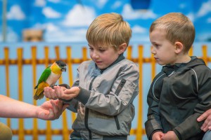 Pleasurewood Hills - Parrot Show - Richard Jarmy Photography - Wedding commercial event Photographer