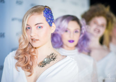 Hair Colourist and Styling Event