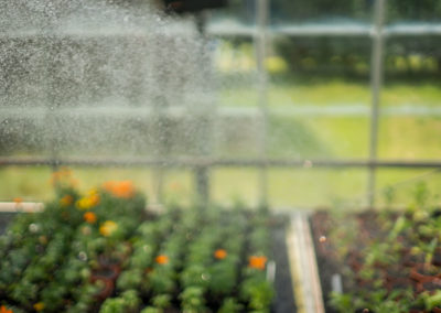 Easton College Farming