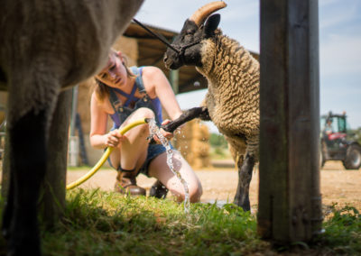 Easton College Farming